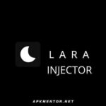 Lara Injector
